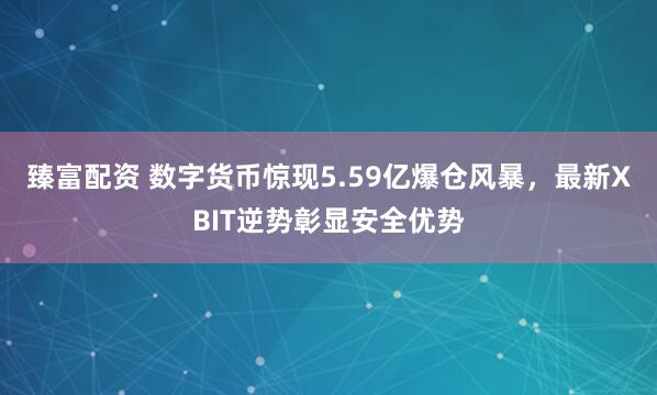 臻富配资 数字货币惊现5.59亿爆仓风暴，最新XBIT逆势彰显安全优势